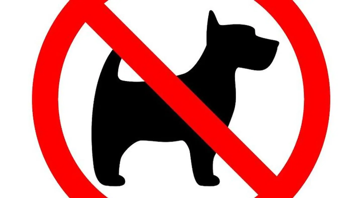 Lieblingsplatz Mein Strandhotel Tiere