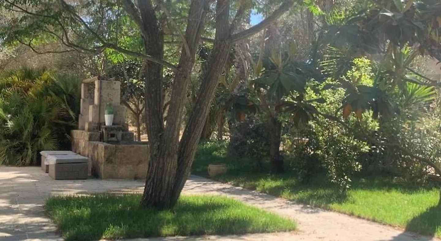 Tenuta Sidore Garten