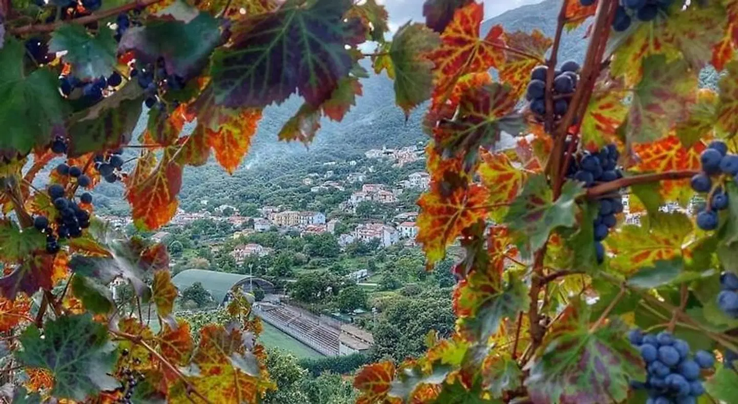 Villa Bianca Tiere