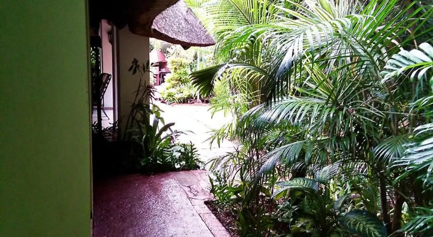 African Ambience Garten