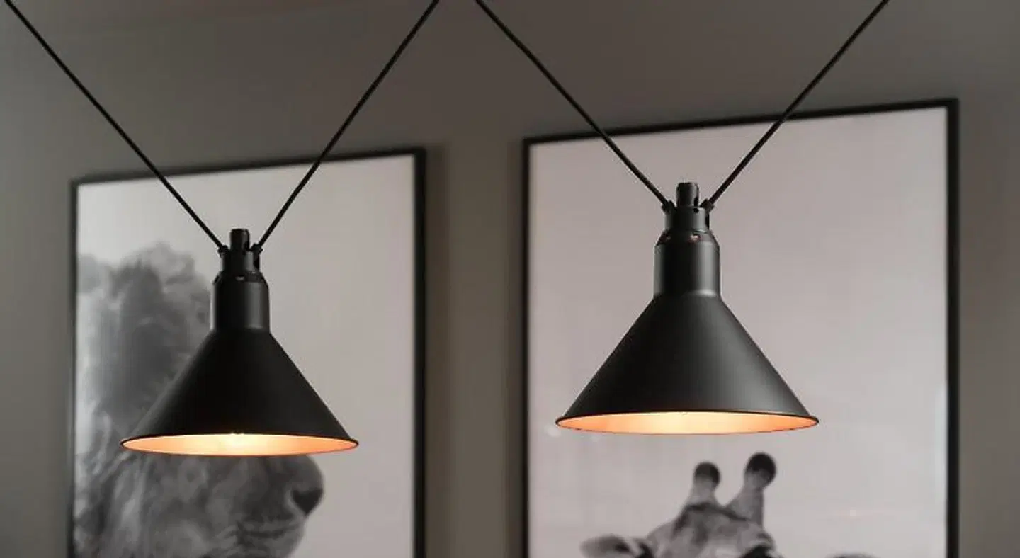 Hiding Space - Trim Street Apartments Tiere