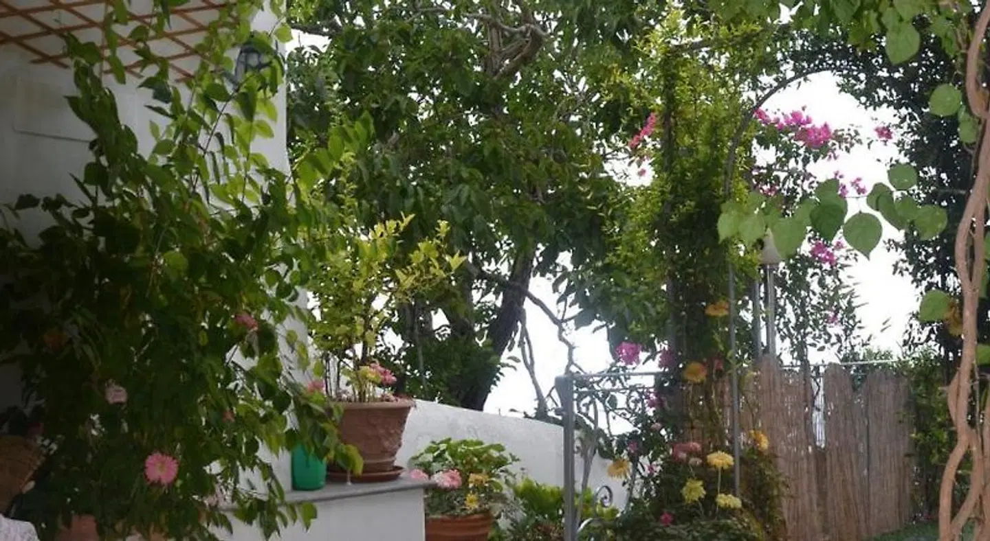 Sostella Garten