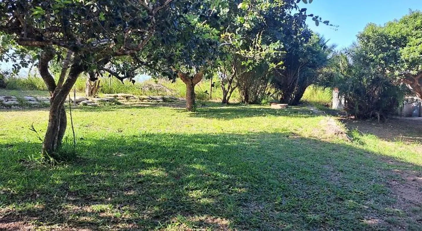 Kingfisher Bush Lodge LANDSCAPE