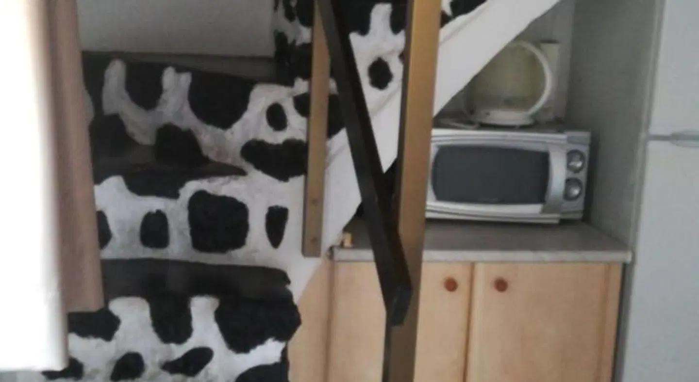Apartamentos Casablanca Tiere