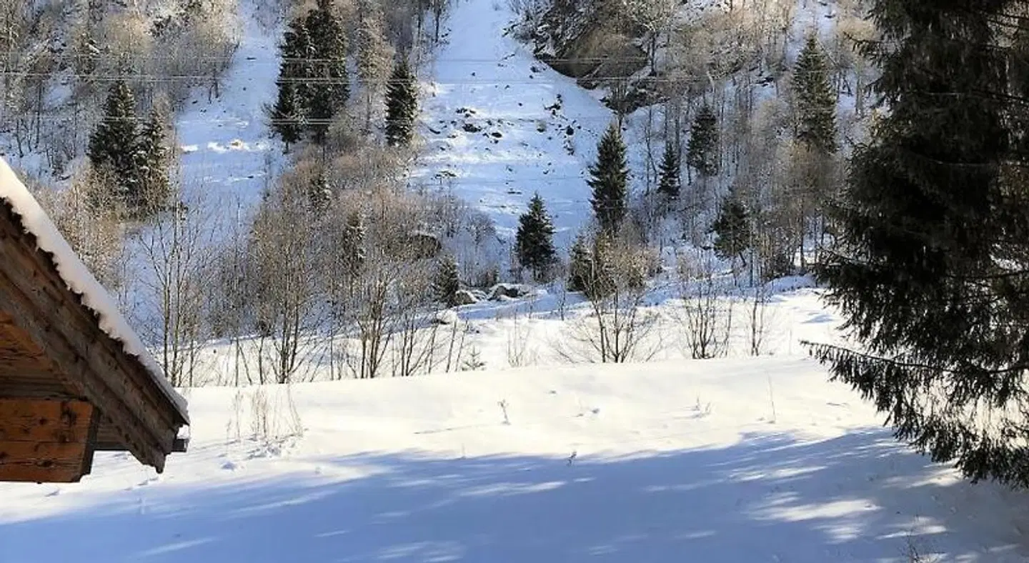 Künstleralm Hotel & Apartments LANDSCAPE