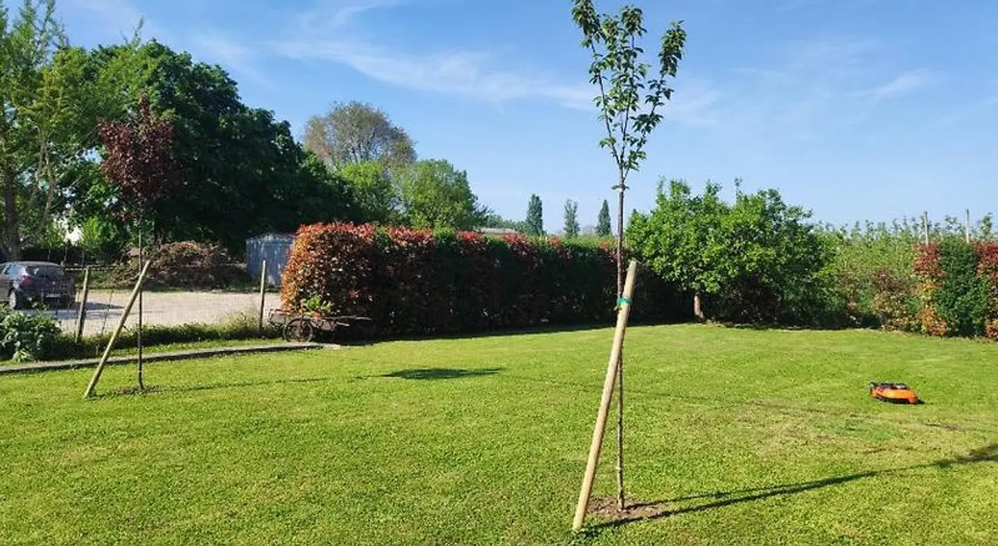 I Due Orfici Garten