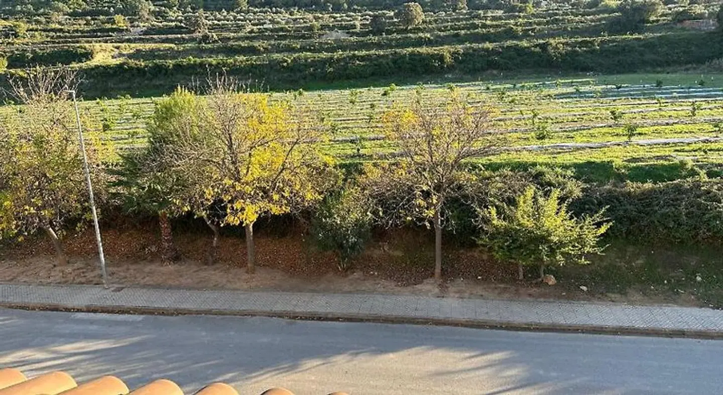 Casa Peseta. Casa Rural LANDSCAPE