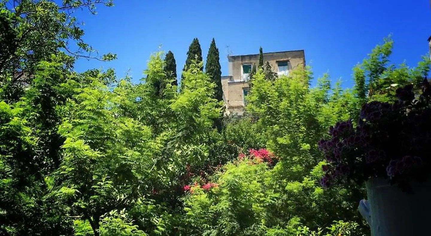 The Foria House B&B Garten