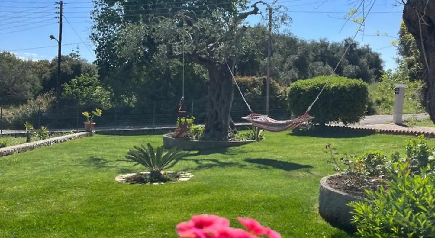 Ilias Apartments Dassia Garten