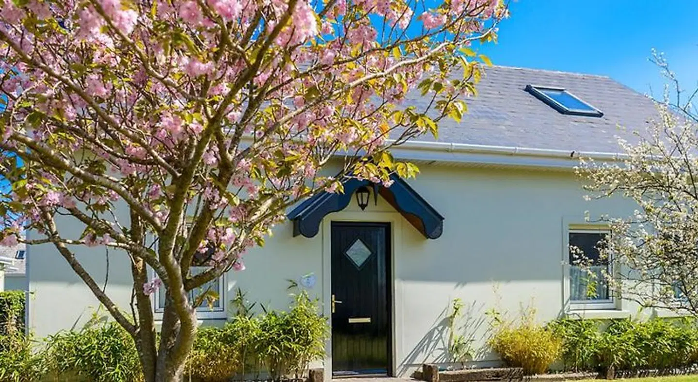 An Capall Dubh B&B Dingle EXTERIOR