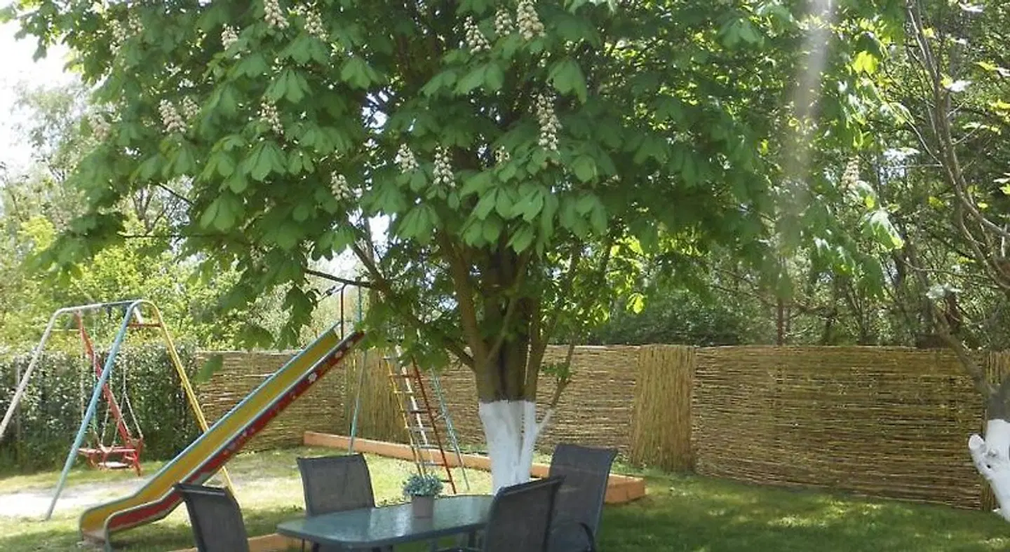 Zisis Garden Studios Garten