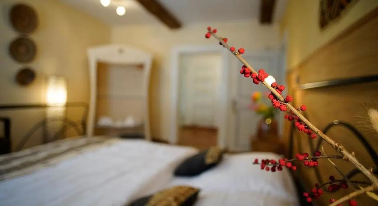 SahaRa ROOM_EXAMPLE