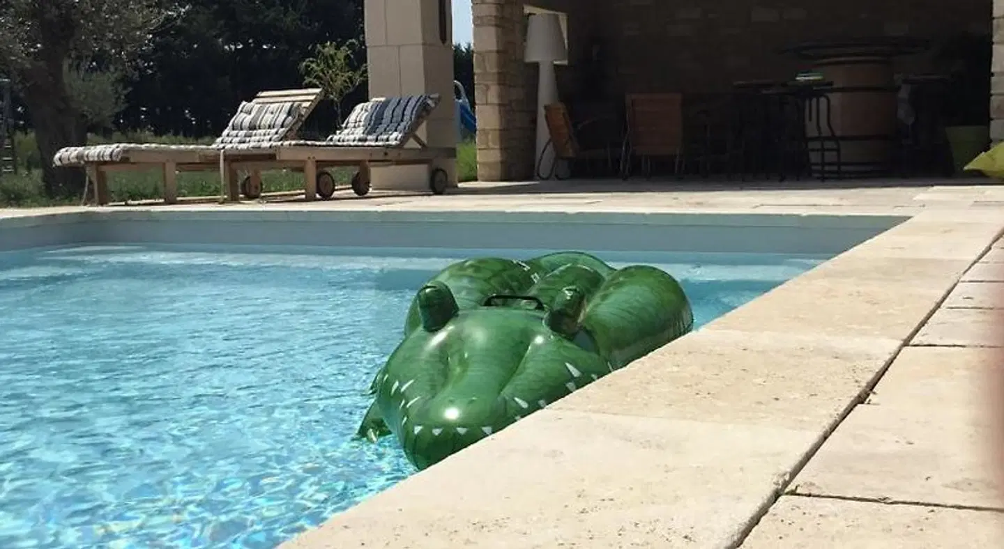 Le Mas de Nonin - Chambres d'hotes OUTDOOR_POOL
