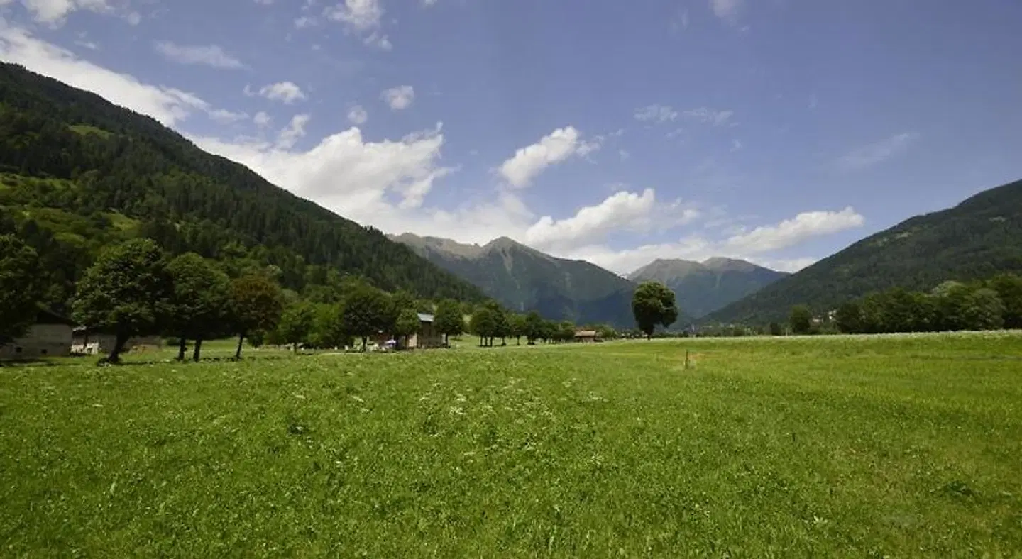Villa Lucin LANDSCAPE