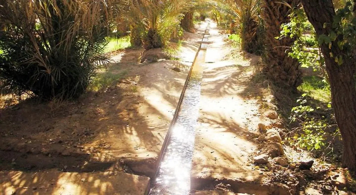 Riad tadarte LANDSCAPE