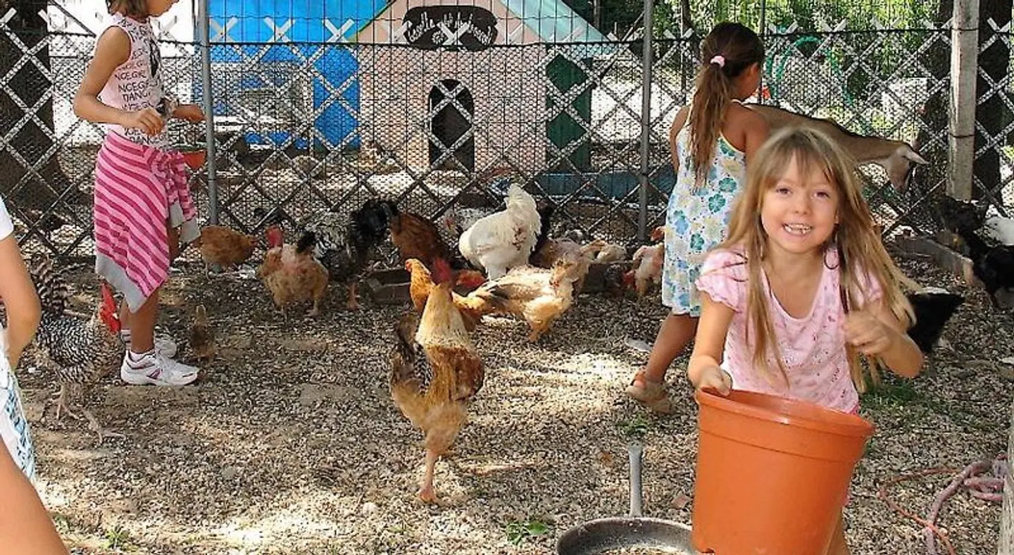 Agriturismo Ca' Isotta Tiere