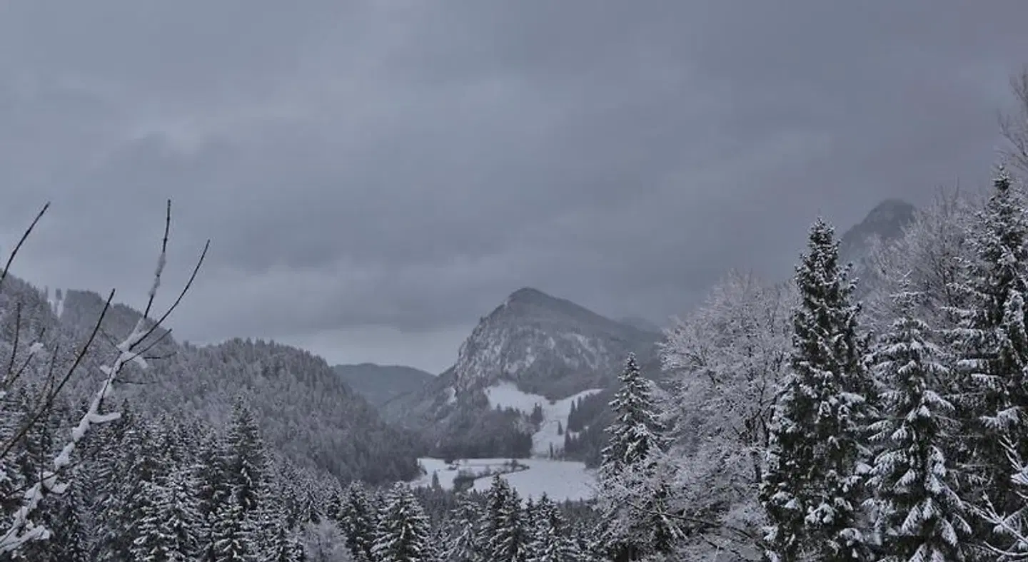 Ruhehotel & Naturressort Rehbach - Adults only LANDSCAPE