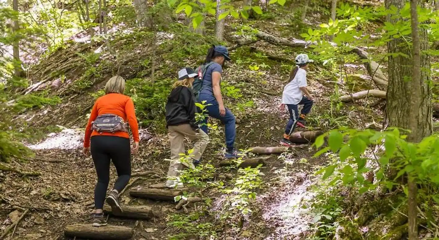 Blue Mountain Resort Home Collection Landschaft