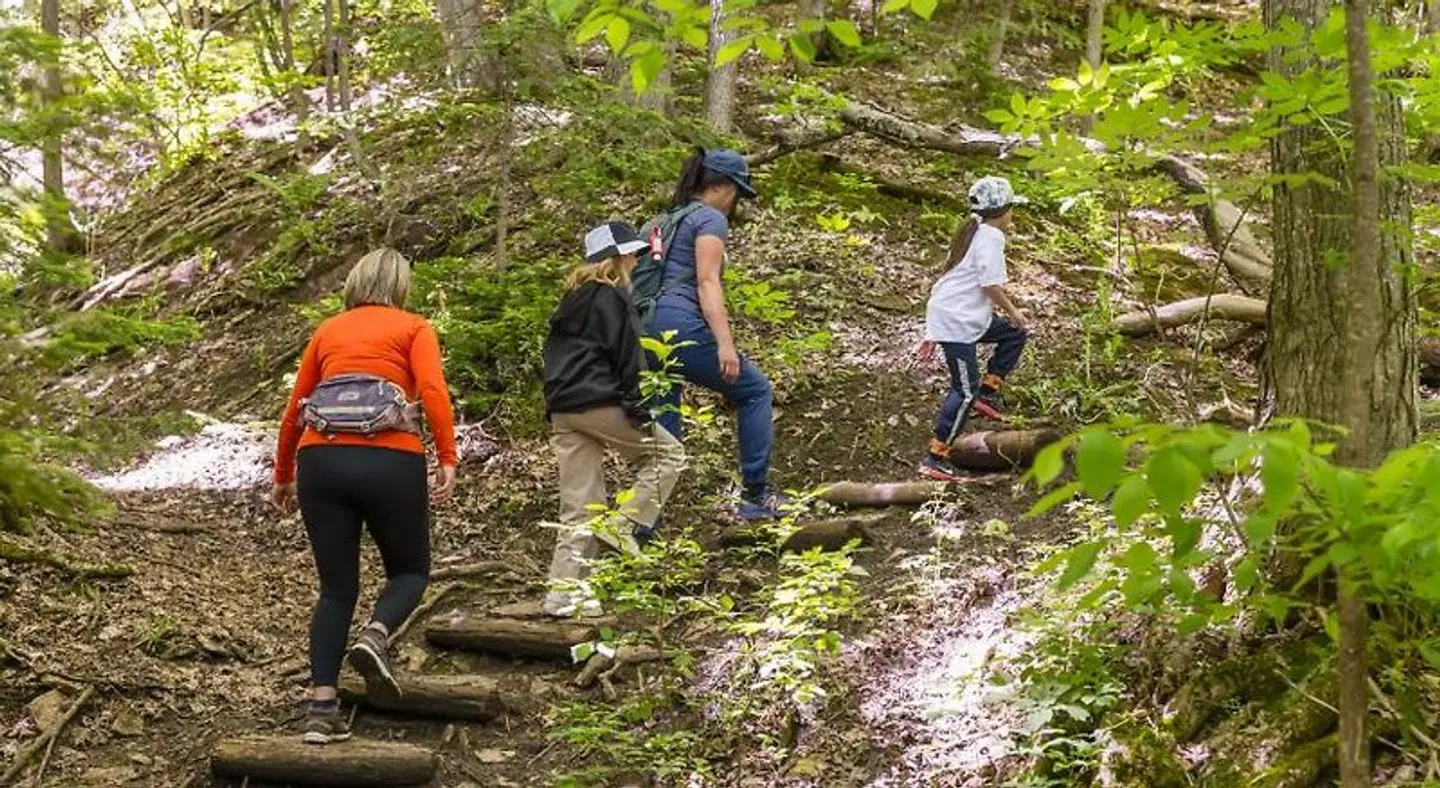 Blue Mountain Resort Home Collection LANDSCAPE