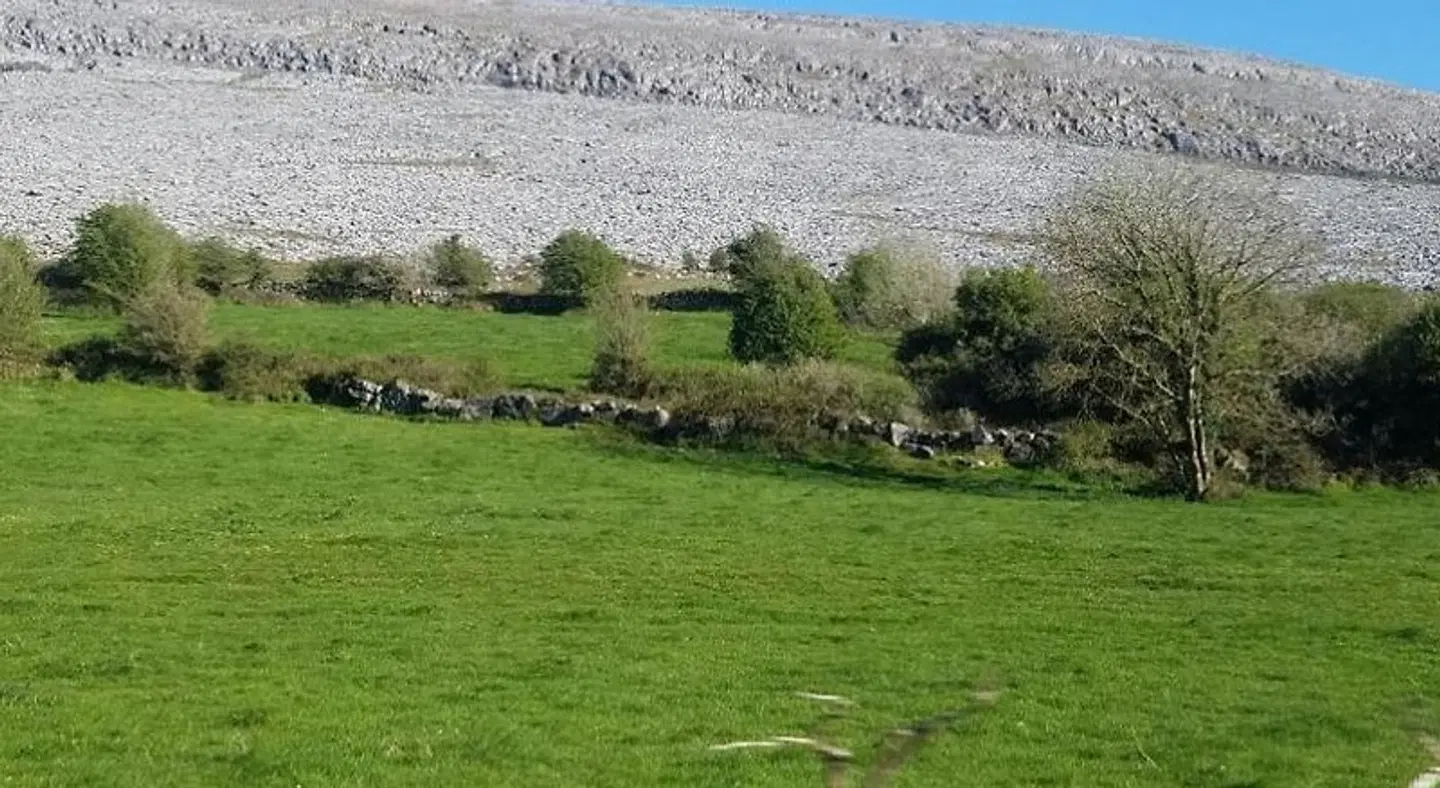 Burren Rock Farmhouse B&B Garten