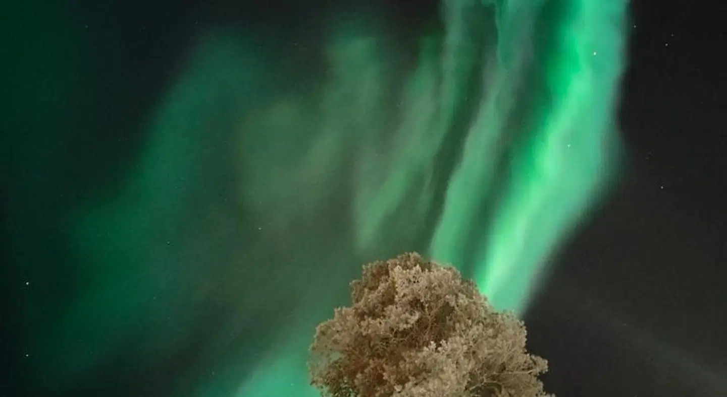 Isokelo Log Apartments LANDSCAPE