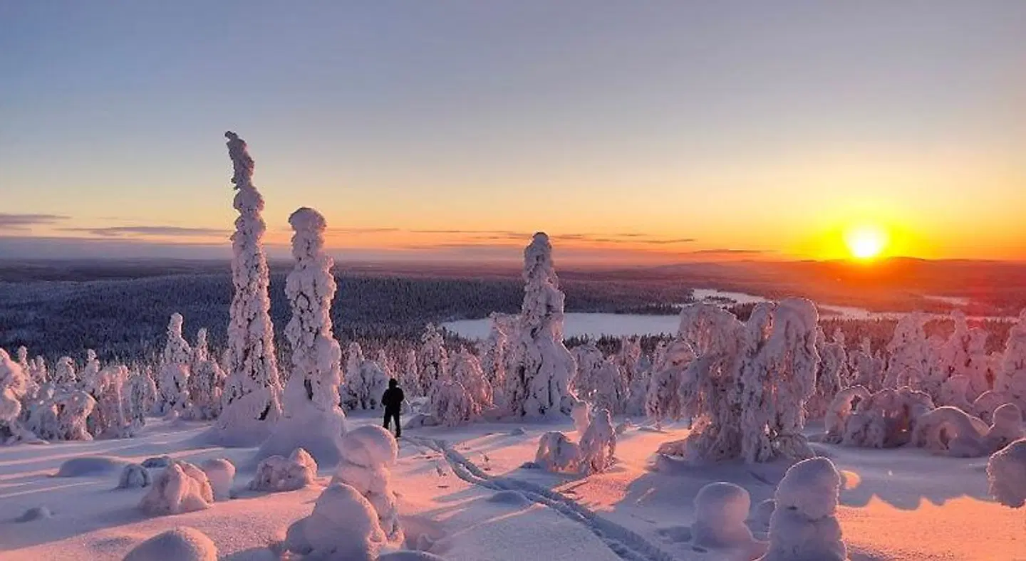 Isokelo Log Apartments LANDSCAPE