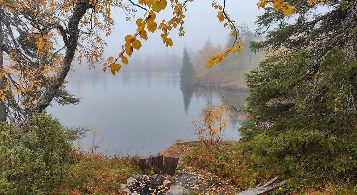 Isokelo Log Apartments LANDSCAPE
