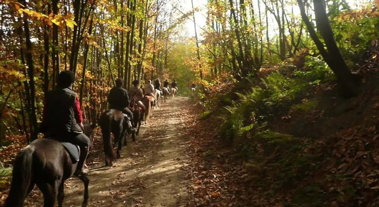 Agriturismo Bio-Ecologico Sant'Isidoro SPORTS_AND_LEISURE