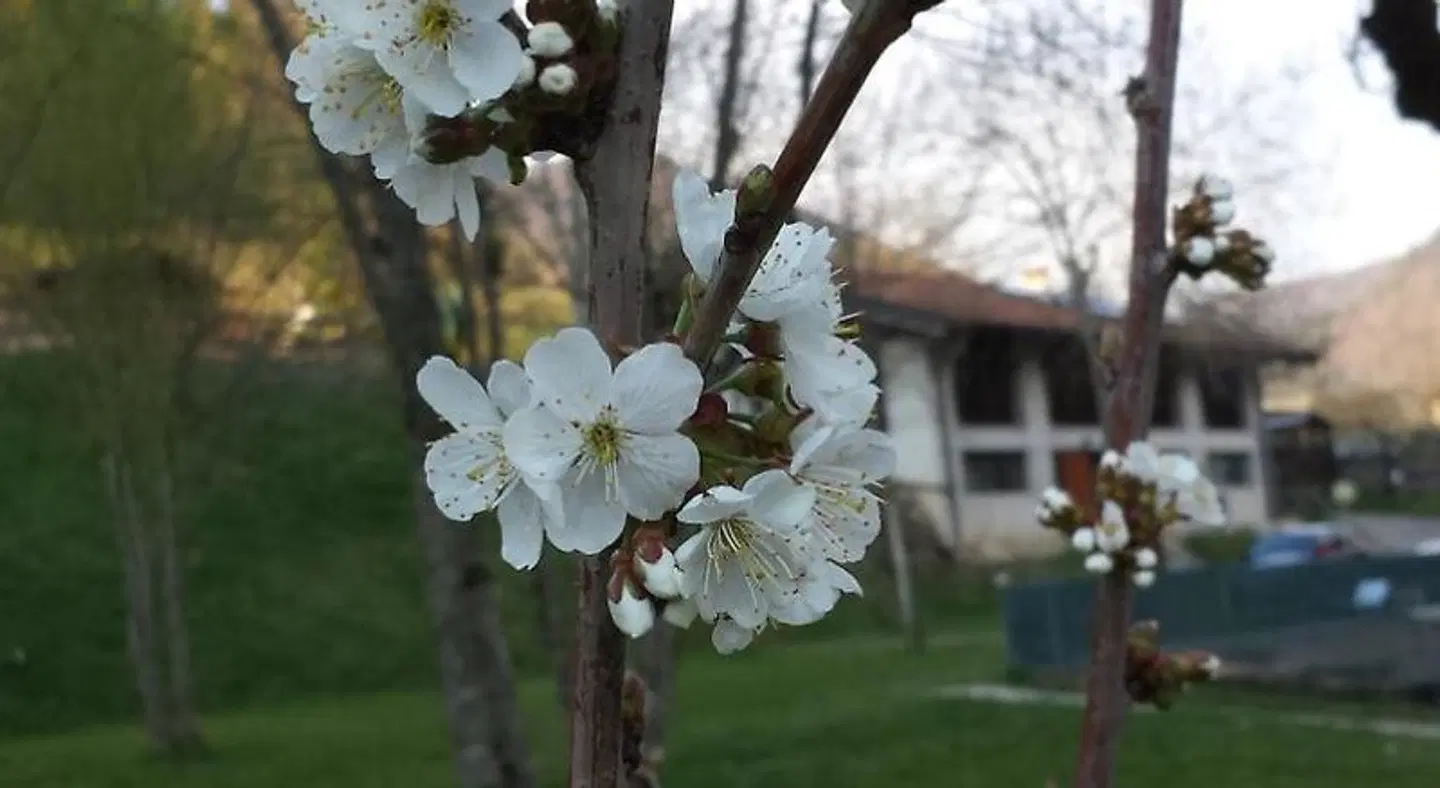 Camping Albergo Casavecchia LANDSCAPE