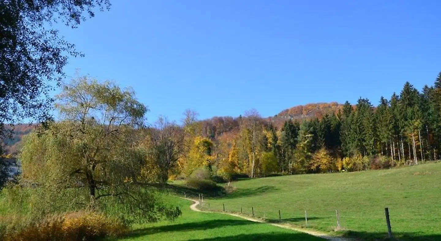 Bad Schauenburg SPORTS_AND_LEISURE