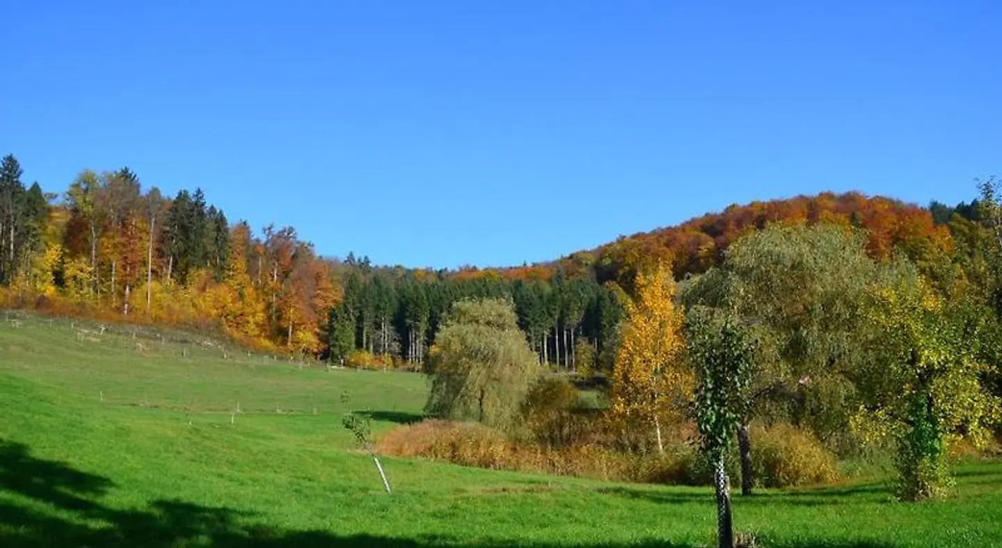 Bad Schauenburg LANDSCAPE