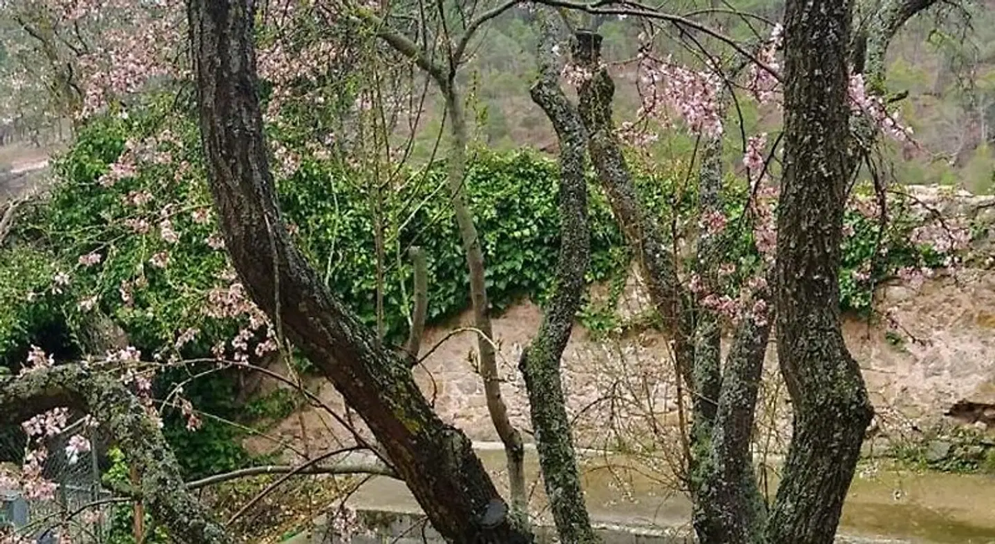 El Albergue de Sigüenza LANDSCAPE