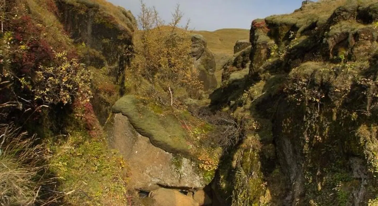 Dalshöfdi Guesthouse LANDSCAPE