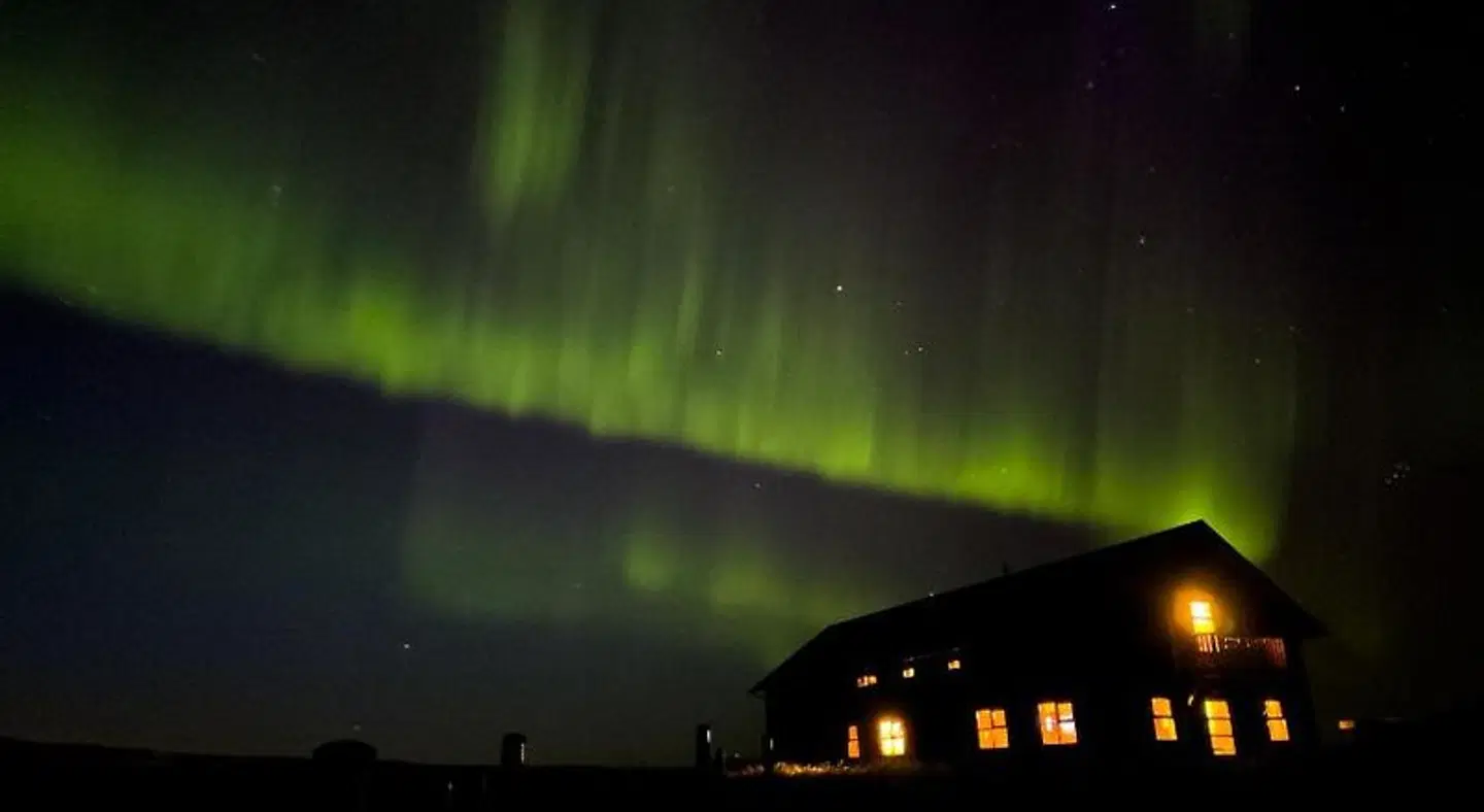 Laugarfell Accommodation & Hot Springs Tiere