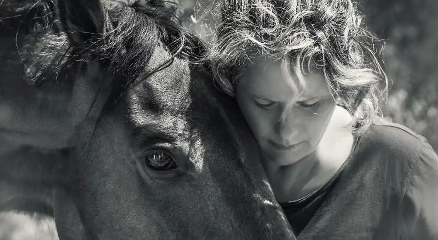 The Olive Yard Tiere