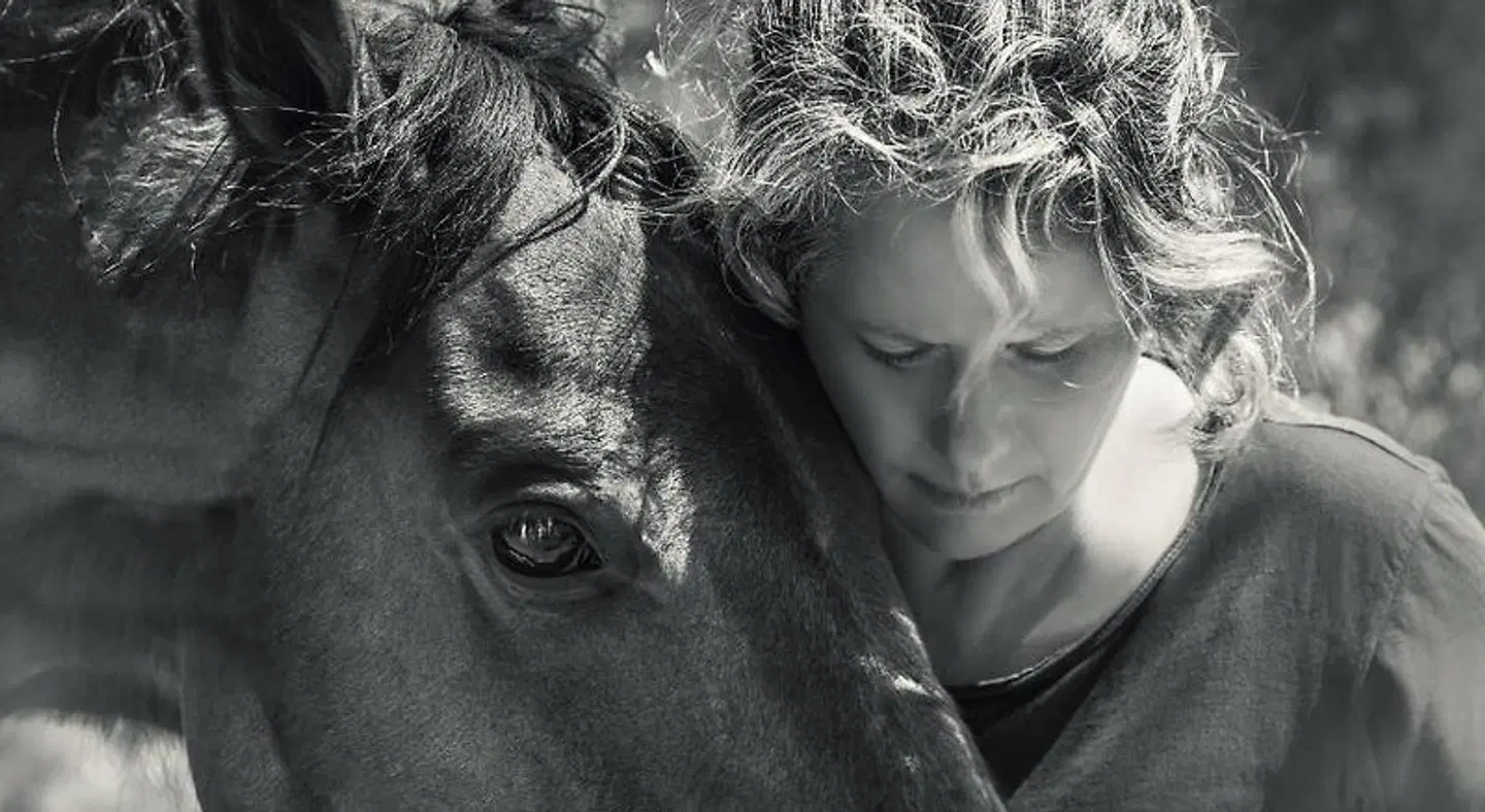 The Olive Yard Tiere