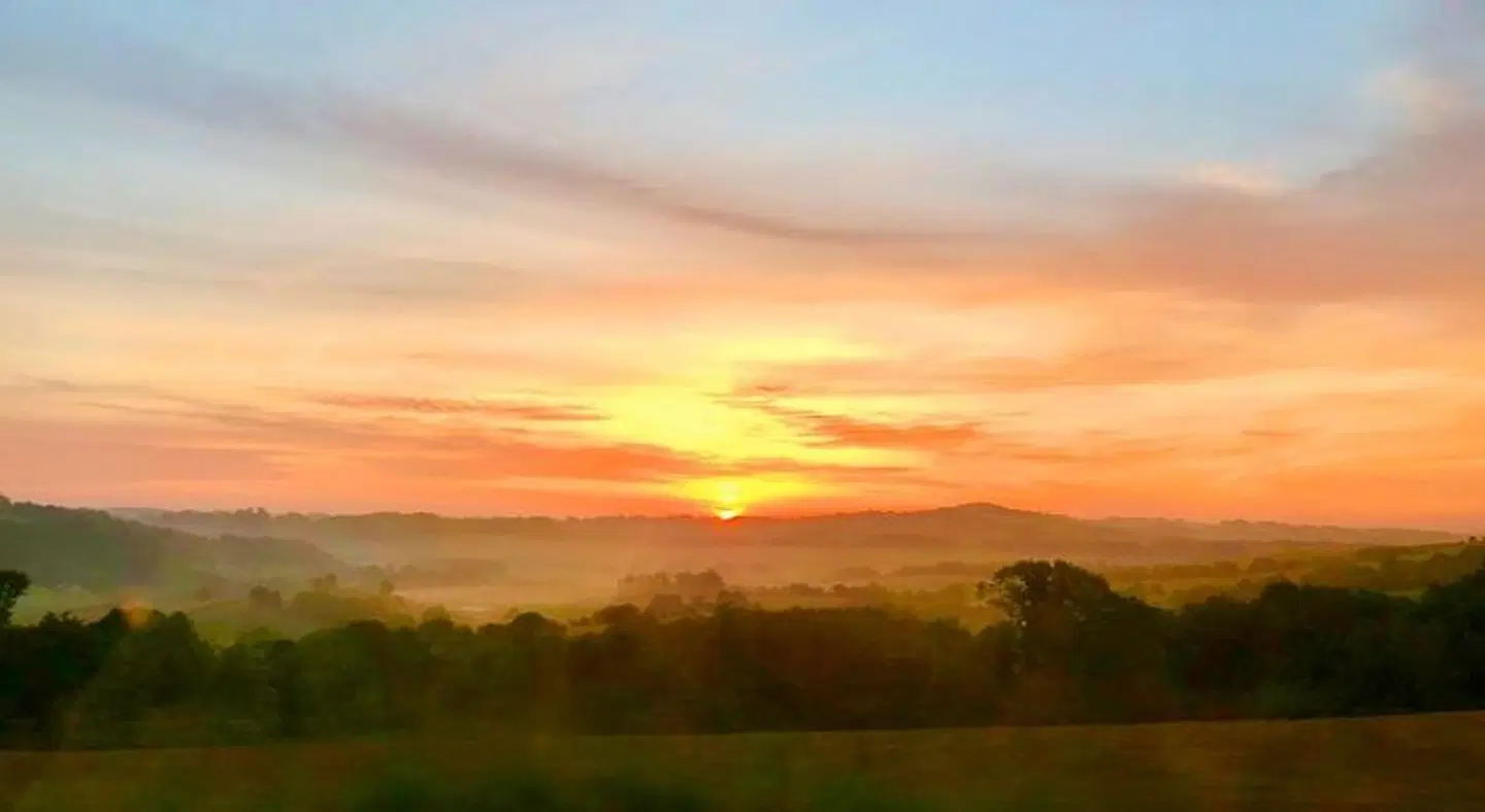 Elixondoa LANDSCAPE