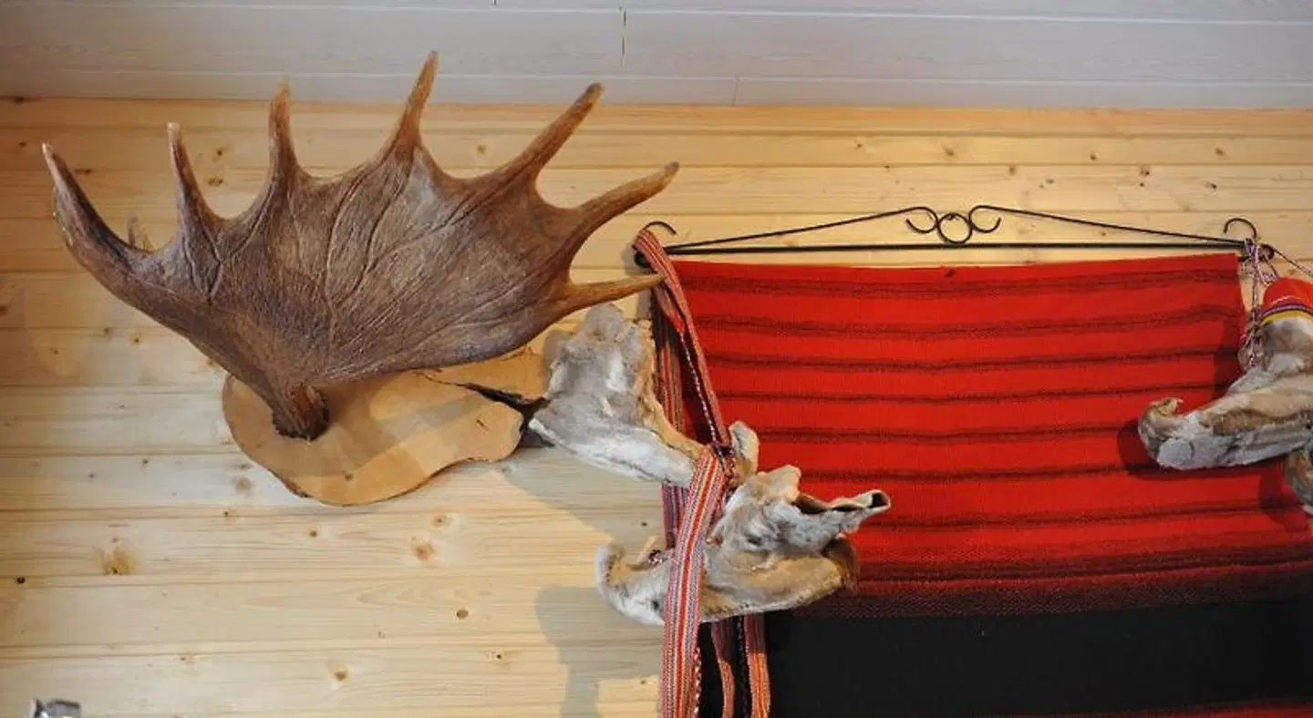 Aurora Cabins Tiere