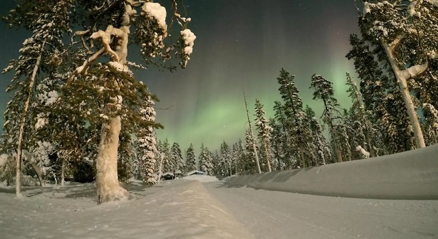 Aurora Cabins Garten