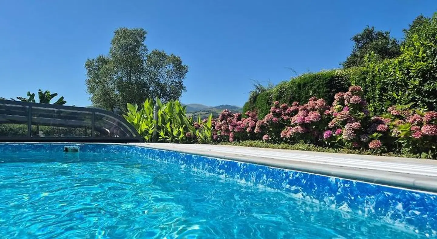 Villa Goxoki OUTDOOR_POOL