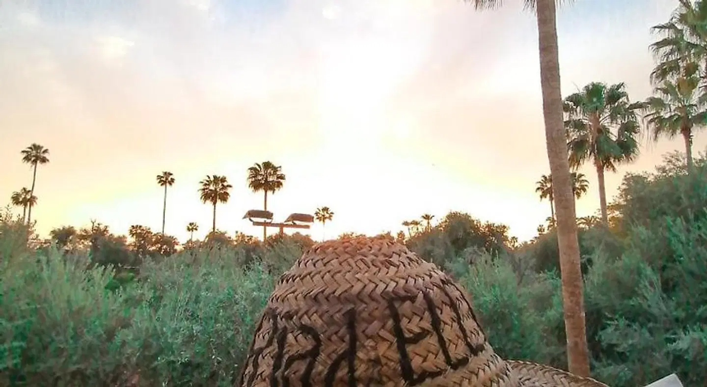 Riad Elli Marrakech Tiere