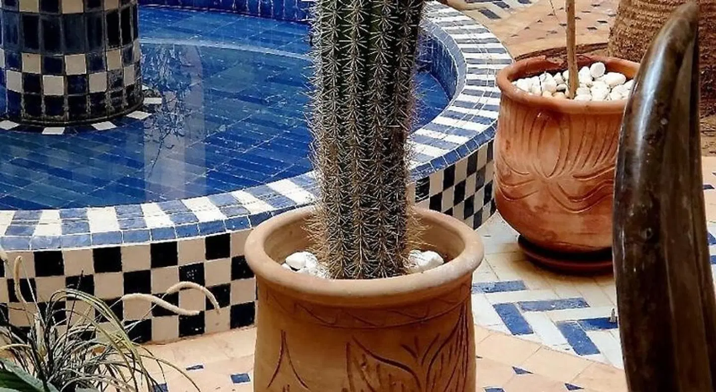 Kasbah Mohayut Terrasse