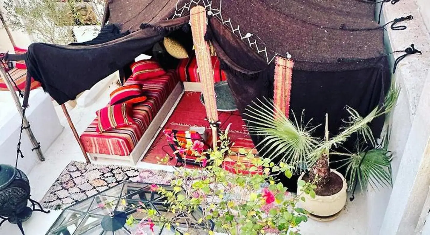 Berber Duchess Riad Tiere