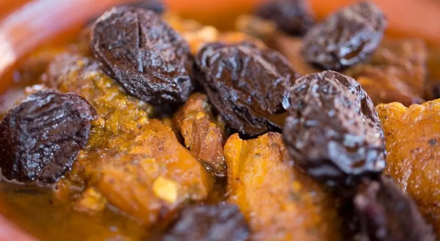 Riad Atlas Acacia Tiere