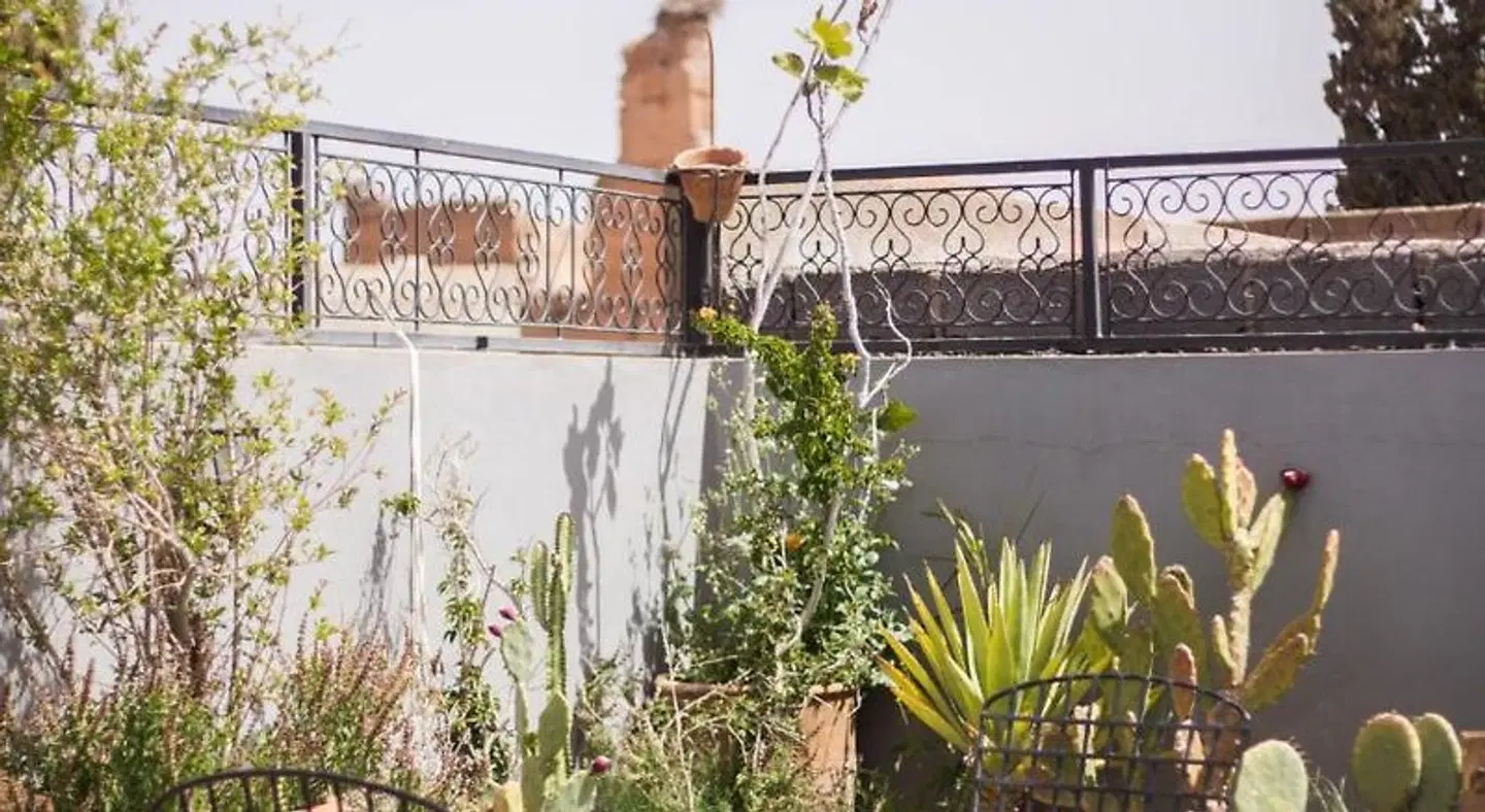 Riad Le Petit Joyau EXTERIOR