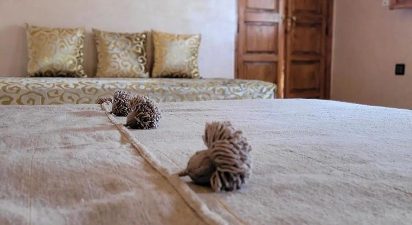 Dar Chadia ROOM_EXAMPLE