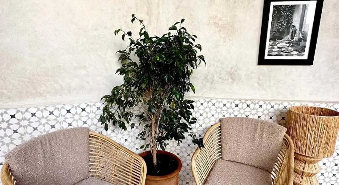 Riad Citrus By La Siredrah LOUNGE_LOBBY