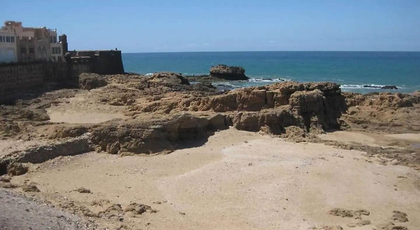 Dar Al Bahar LANDSCAPE