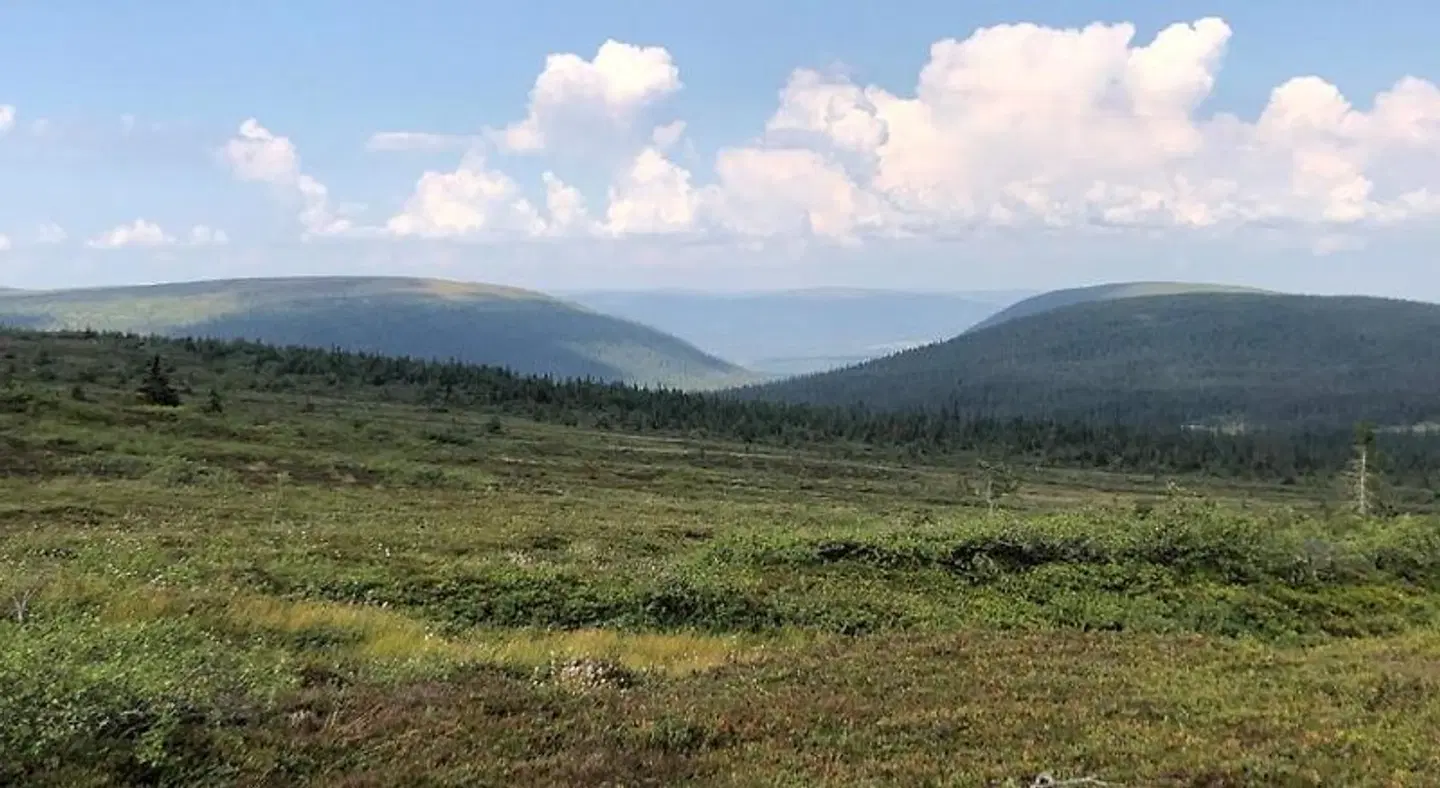 Mountain Lodge LANDSCAPE