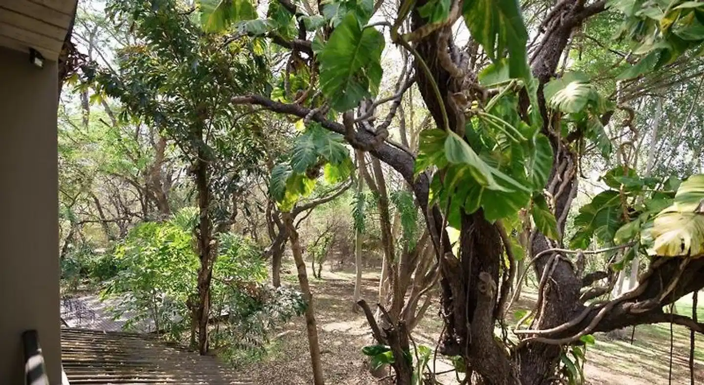 Kruger Eden Lodge Landschaft